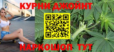 индика Будённовск