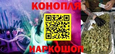 индика Будённовск