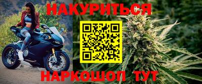 индика Будённовск