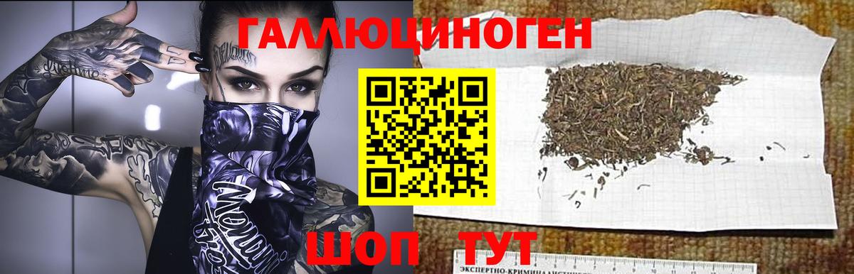 Псилоцибиновые грибы MAGIC MUSHROOMS  Вход с VPN  Удомля  Галлюциногенные грибы Psilocybe 