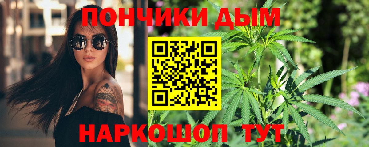 Бошки Шишки план Удомля